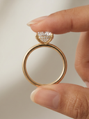 Aura Oval Hidden Halo — macro detail